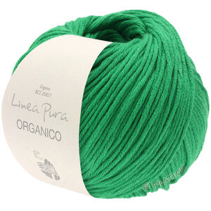ORGANICO (Linea Pura) - von Lana Grossa | 129-Grün