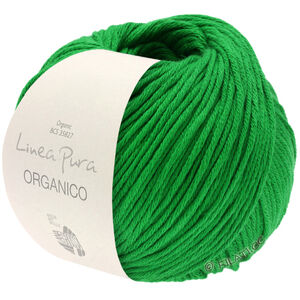 ORGANICO (Linea Pura) - von Lana Grossa | 163-Grasgrün