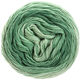 Lana Grossa SLOW WOOL LINO Dégradé | 203-Pastellgrün/Graugrün/Patinagrün