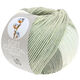 Lana Grossa SOFT COTTON Dégradé | 114-Weiß/Silbergrau/Hellgrau/Grau