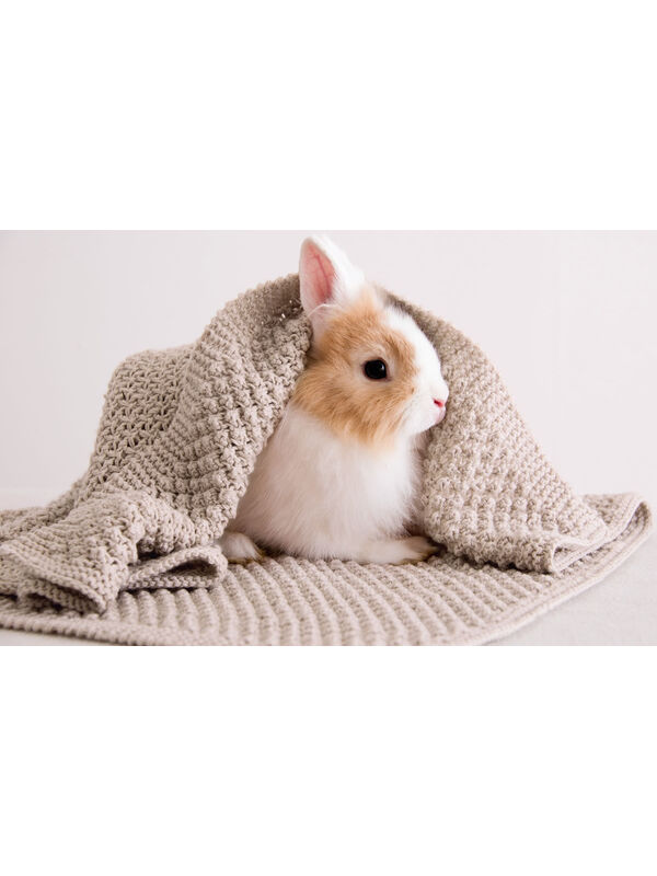 Lana Grossa DECKE Cool Wool Baby