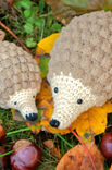 Lana Grossa KLEINER IGEL Cotone