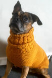 Lana Grossa HUNDEPULLI Merino Wool