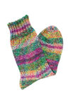Lana Grossa BASIS SOCKEN Landlust Die Sockenwolle