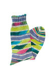 Lana Grossa BASIS SOCKEN Meilenweit 100g Seta Giappone