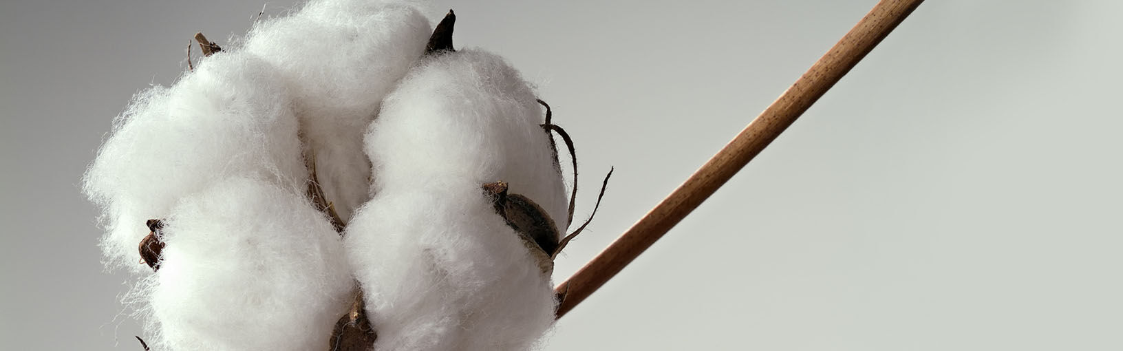 Garne zum Stricken, Häkeln und Filzen in bester Qualität LANA GROSSA<br> Wolle & Garne