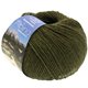 Lana Grossa ALPINA Landhauswolle | 64-Dunkeloliv
