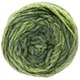 Lana Grossa ALTA MODA CASHMERE 16 SFUMATO | 206-Hellgrün/Dunkelgrün meliert