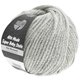 Lana Grossa ALTA MODA SUPER BABY Stella | 210-Silbergrau/Silber