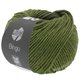 Lana Grossa BINGO Mélange (We Care) | 1013-Olivgrün