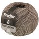 Lana Grossa BRIGITTE Silkdream | 04-Graubeige