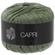 Lana Grossa CAPRI | 19-Khaki