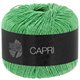 Lana Grossa CAPRI | 44-Apfelgrün