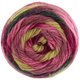Lana Grossa COLORATO Aktion | 02-Beere/Helloliv/Himbeer/Bordeaux/Waldgrün/Brombeer