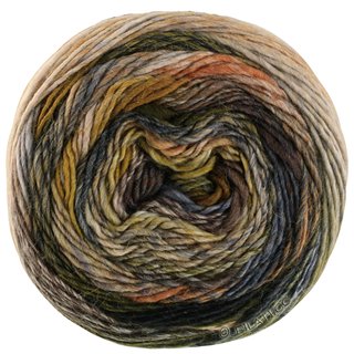 COLORISSIMO 2 von Lana Grossa