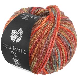 COOL MERINO Big Color - von Lana Grossa | 402-Graugrün/Rot/Gelb/Mint/Braun/Rosenholz