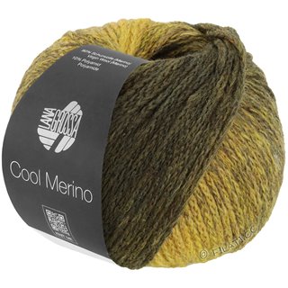 COOL MERINO Dégradé von Lana Grossa