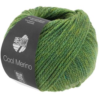 COOL MERINO von Lana Grossa