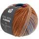 COOL WOOL 4 SOCKS PRINT II - von Lana Grossa | 7798-Graubraun/Dunkeljeans/Graubraun/Veilchenblau/Nussbraun/Amarenarot