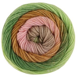 COOL WOOL Big Color von Lana Grossa