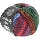 Lana Grossa COOL WOOL Big Color | 4003-Grün/Petrol/Weinrot/Flieder/Blau/Rot