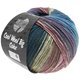 Lana Grossa COOL WOOL Big Color | 4005-Petrolblau/Jeans/Altrosa/Rosenholz/Beigebraun/Khaki