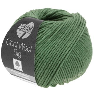 COOL WOOL Big  Uni/Melange von Lana Grossa