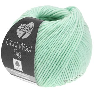 COOL WOOL Big  Uni/Melange von Lana Grossa