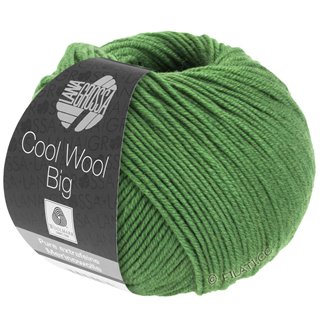 Lana Grossa COOL WOOL Big Uni/Melange
