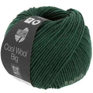 COOL WOOL Big Mélange (We Care) von Lana Grossa