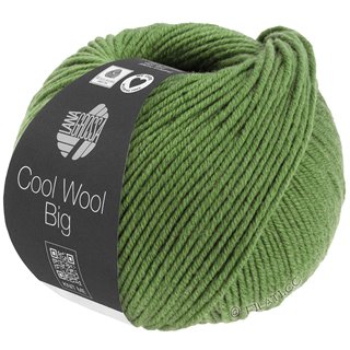 COOL WOOL Big Mélange (We Care) von Lana Grossa