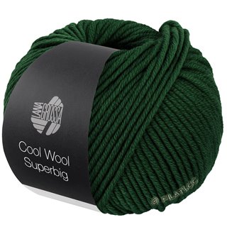 COOL WOOL Superbig von Lana Grossa