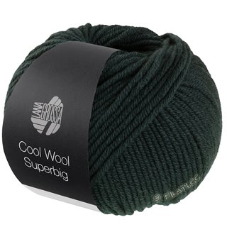COOL WOOL Superbig von Lana Grossa