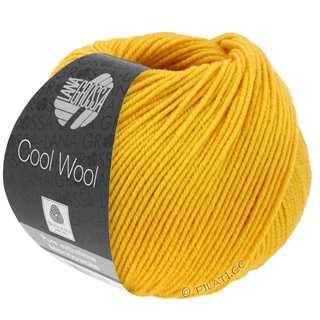 COOL WOOL von Lana Grossa
