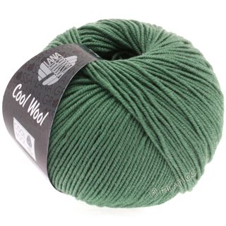 COOL WOOL von Lana Grossa
