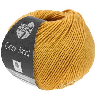 COOL WOOL von Lana Grossa