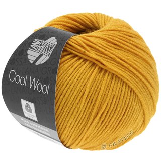 COOL WOOL von Lana Grossa