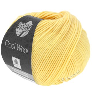 COOL WOOL von Lana Grossa