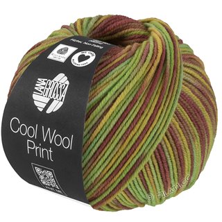 COOL WOOL  Print von Lana Grossa