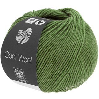 COOL WOOL Mélange (We Care) von Lana Grossa