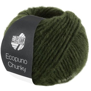 ECOPUNO Chunky von Lana Grossa