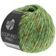 ECOPUNO Print - von Lana Grossa | 108-Grün bunt
