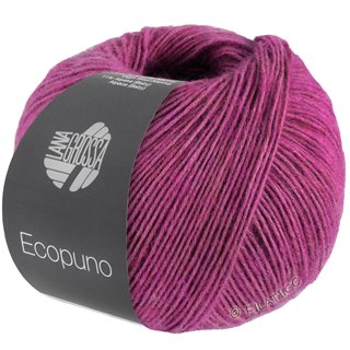 ECOPUNO von Lana Grossa