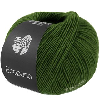 ECOPUNO von Lana Grossa