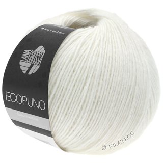 ECOPUNO von Lana Grossa