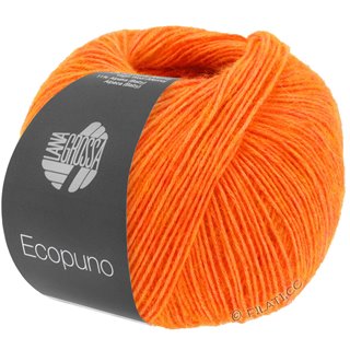 ECOPUNO von Lana Grossa