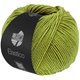 Lana Grossa ELASTICO | 202-Pistazie