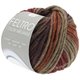 FELTRO Color Melange - von Lana Grossa | 1019-Weinrot/Taupe/Dunkelbraun/Graubraun