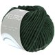 Lana Grossa FELTRO | 119-Waldgrün