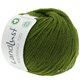 Lana Grossa LANDLUST MERINO 120 (GOTS & ICEA) | 117-Grün